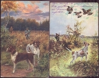 Охотничьи собаки - Комплект из 10 открыток артикул 6004b.
